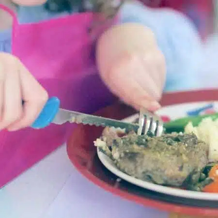 Little girl slicing cooked meat using Kiddies Food Kutter